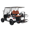 Street Legal Golf Hunting Buggy Lithium Battery Golf Cart
