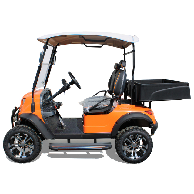 Safety Electric Golf Car with Lithium & Acid Battery