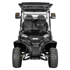 Custom New Energy Vehicles Electric Utility Cart Street Legal Buggy Off Road Club Car 6 Seaters Golf Cart