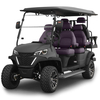 Yangzhou Whanlong Electric Vehicle Offroad Buggy 4+2 Seats Golf Trolley Electric Golf Cart