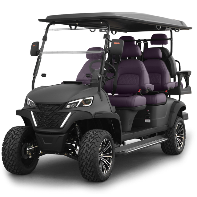 Yangzhou Whanlong Electric Vehicle Offroad Buggy 4+2 Seats Golf Trolley Electric Golf Cart