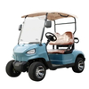 Sightseeing New Energy Vehicle 2 Seats Golf Cart