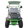 Sightseeing Vehicle Electric Luxury Golf Cart
