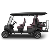 Yangzhou Whanlong Electric Vehicle Offroad Buggy 4+2 Seats Golf Trolley Electric Golf Cart