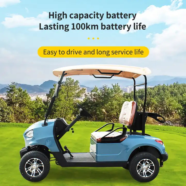 Sightseeing New Energy Vehicle 2 Seats Golf Cart