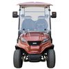 Safety Electric Golf Car with Lithium & Acid Battery