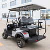 Gas Conversion Winterize Electric Golf Cart For Camping