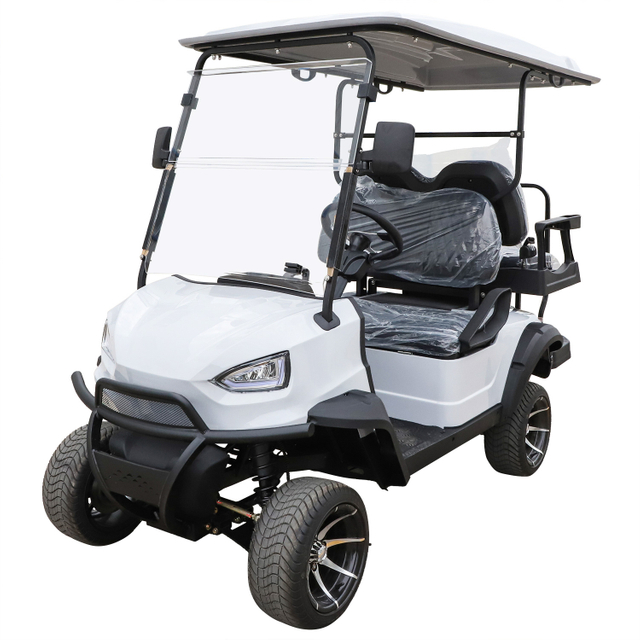 Tourist Area Top Rated Mini Golf Cart