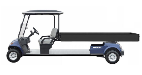 Non-lifted Cart Model-G.6-CARGO