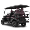 Yangzhou Whanlong Electric Vehicle Offroad Buggy 4+2 Seats Golf Trolley Electric Golf Cart