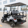 Gas Conversion Winterize Electric Golf Cart For Camping