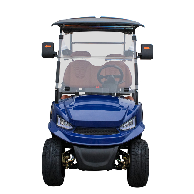New Electric Vehicle Jiangsu Lithium Battery Mini Car Golf Buggy Golf Cart