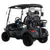 Manufacture 48v Electric 2 Person Golf Car Buggy Lithium Battery 2 Seaters Mini Electric Utility Golf Cart