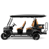 Factory Price 4+2 Seat Lithium Battery 6 Persons Lifted Electric Golf Buggy Hunting Cart