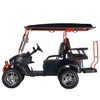 Sightseeing Vehicle Custom Limo Golf Cart