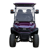 Sightseeing Bus Custom Golf Cart Lithium Battery Electric Golf Cart