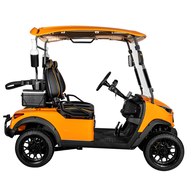 2 Seat Sightseeing Bus Club Cart Electric Golf Buggy Hunting Cart with CE DOT