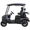 Wholesale Premium Luxury Golf Car Lithium Trolley 2 Seater Mini Buggy Car Electric Golf Cart