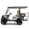 Oem Odm Customized 4 Seater Golf Buggy Lithium Battery Street Legal Electric Golf Cart for Sale