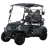 Manufacture 48v Electric 2 Person Golf Car Buggy Lithium Battery 2 Seaters Mini Electric Utility Golf Cart