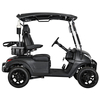 Manufacture 48v Electric 2 Person Golf Car Buggy Lithium Battery 2 Seaters Mini Electric Utility Golf Cart