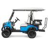 Oem Odm Customized 4 Seater Golf Buggy Lithium Battery Street Legal Electric Golf Cart for Sale