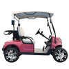 Cheap Wholesale 48volt Street Legal Lithium Battery Electric 2 Seater Golf Buggy Cart for Adults Sale