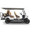 Factory Direct Sale Utility Vehicle Electric Car off Road 6 Seater Golf Cart for Sale