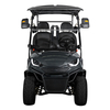 Manufacture 48v Electric 2 Person Golf Car Buggy Lithium Battery 2 Seaters Mini Electric Utility Golf Cart