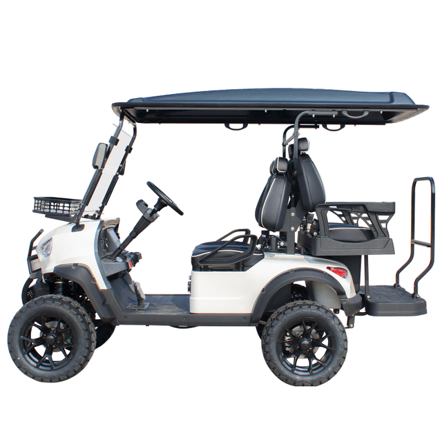 China Cheap Golf Car Utility Car for Multifuntional Use