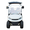 New Electric Jiangsu Lithium Battery Mini Car Golf Buggy Golf Cart