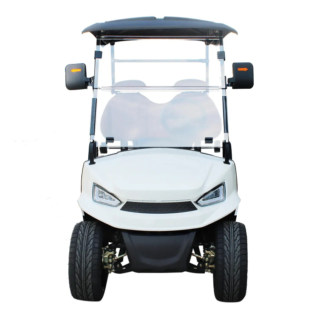 New Electric Jiangsu Lithium Battery Mini Car Golf Buggy Golf Cart
